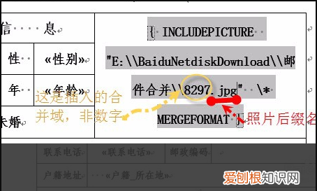 wps邮件怎么合并姓名和性别,WPS的邮件合并在哪里怎样使用