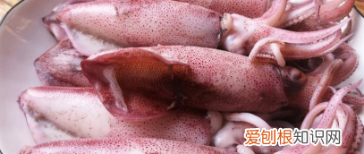 鱿鱼汤的简单做法大全,家常鱿鱼的做法最简单