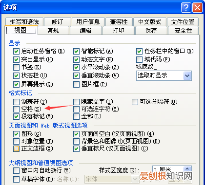 word文档该怎样显示空格，如何在word中显示空格符号