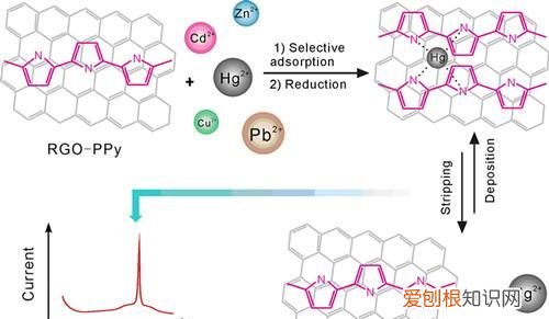 重金属离子有哪些