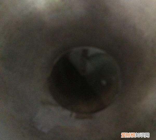 黄豆芽炒牛肉丝的做法,豆芽炒牛肉丝的家常做法窍门