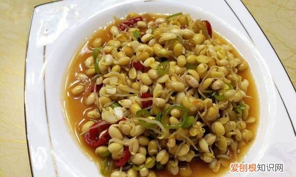 黄豆芽炒牛肉丝的做法,豆芽炒牛肉丝的家常做法窍门