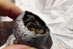 想买茶送人不知道买什么茶好，小青柑外面一层白色是发霉了吗