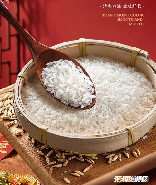 粳米是什么，粳性小米是什么意思？