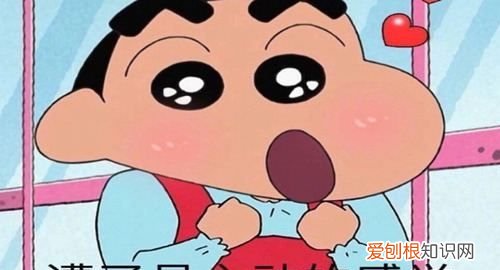 臭宝是什么意思，网络用语臭宝什么意思