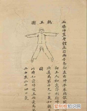 五禽是哪五畜,五畜五禽是哪五种