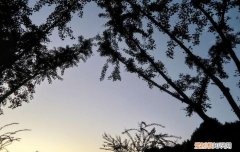 一日难再晨的上一句，诗句一日难再晨的前面一句？