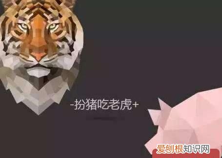 扮猪吃老虎什么意思，假扮猪吃老虎什么意思？