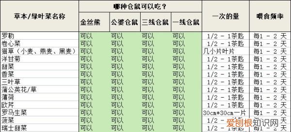 仓鼠吃什么水果，仓鼠可以吃什么水果