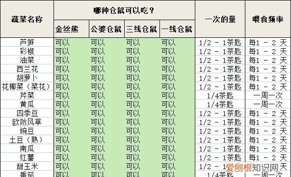 仓鼠吃什么水果，仓鼠可以吃什么水果