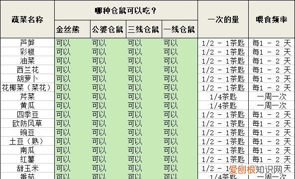 仓鼠吃什么水果，仓鼠可以吃什么水果