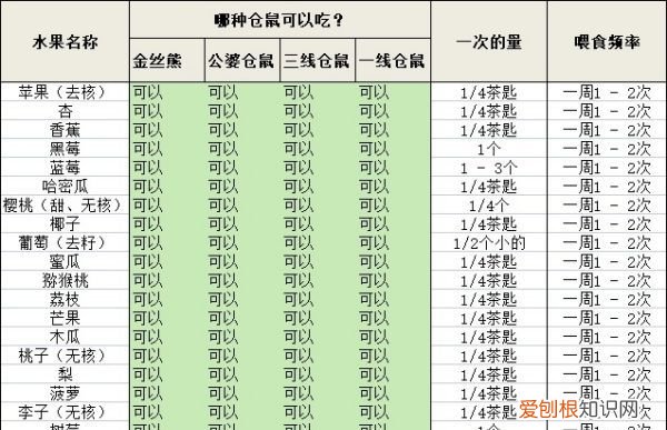 仓鼠吃什么水果，仓鼠可以吃什么水果