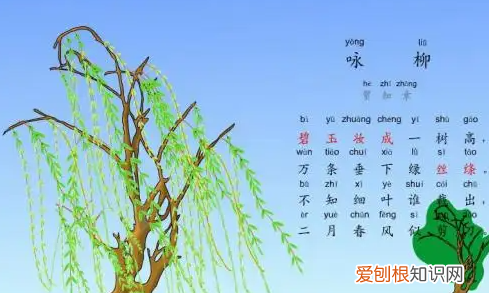 咏柳表达了诗人什么之情,《咏柳》表达了作者怎样的思想感情呢