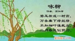 咏柳表达了诗人什么之情，《咏柳》表达了作者怎样的思想感情呢