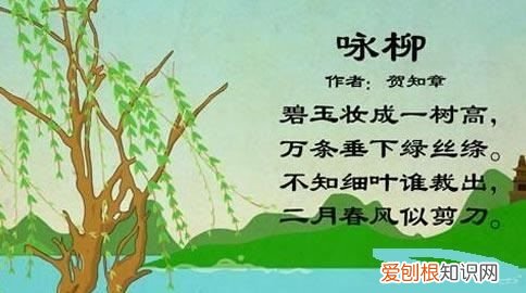 咏柳表达了诗人什么之情,《咏柳》表达了作者怎样的思想感情呢