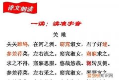 雎鸠怎么读，关雎中的雎鸠意象分析？