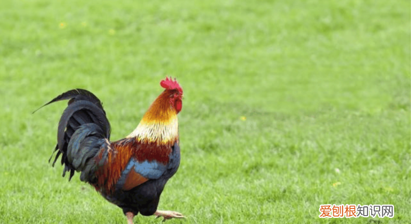 周岁多大，93年今年多大年龄