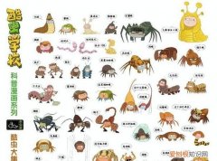 昆虫记有什么昆虫