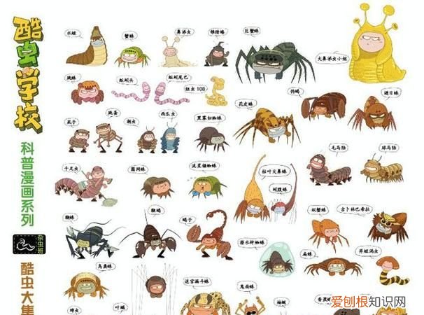 昆虫记有什么昆虫