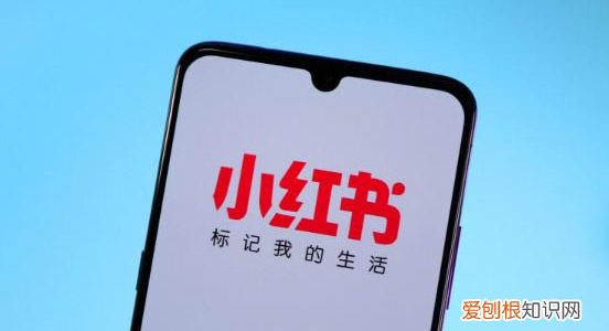 小红书崩了,为什么小红书总是网络不顺畅