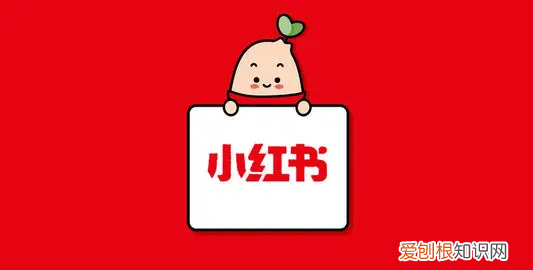 小红书崩了,为什么小红书总是网络不顺畅