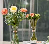 自来水可以直接插花吗，用自来水插花如何防水变臭