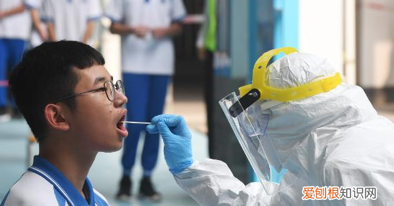 国务院客户端怎么查核酸检测结果