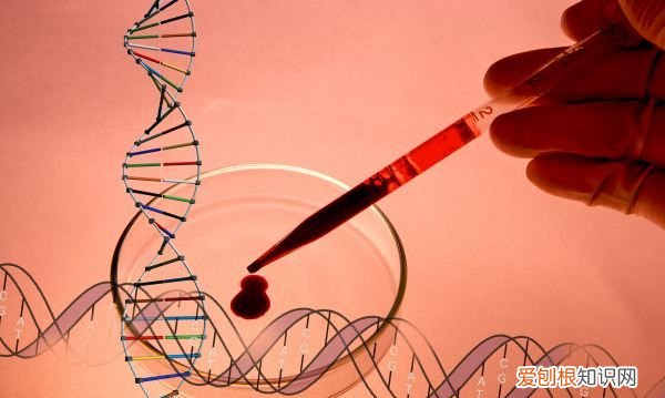 国务院客户端怎么查核酸检测结果