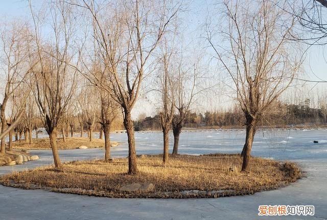 霓虹灯是什么灯,城市的夜晚霓虹灯璀璨是什么意思