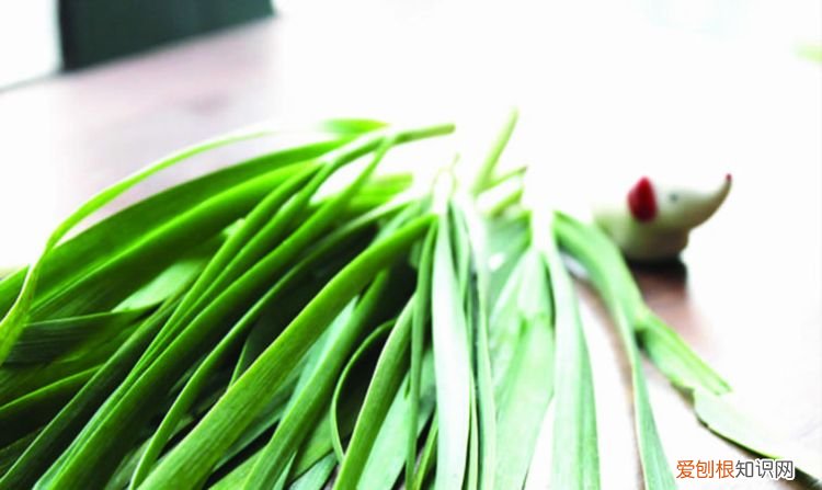 一畦春韭菜下一句是什么,一畦春韭绿的下一句是什么