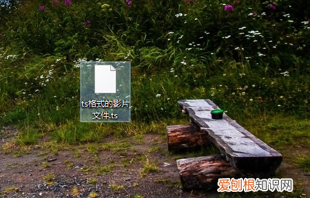 ts后缀名怎么播放,夸克网盘是什么软件