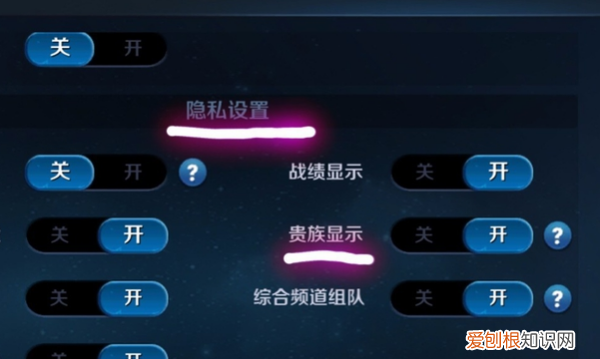 王者荣耀如何关闭贵族显示