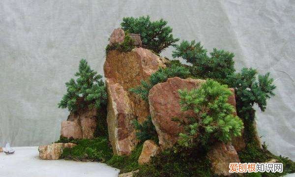 如何制作微型盆景，毛线花盆景制作方法