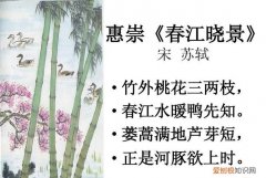 竹外桃花三两枝的下一句