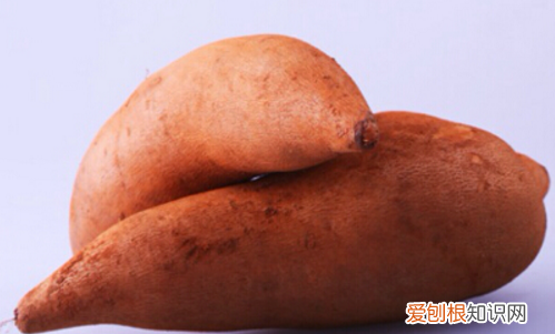 雪莲果生吃还是熟吃好,天山雪莲果怎么吃比较好