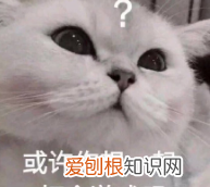 第五人格pc端和手机端的区别