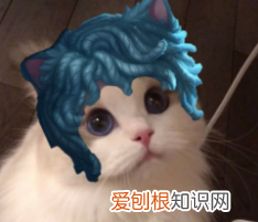 第五人格pc端和手机端的区别