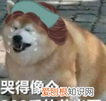 第五人格pc端和手机端的区别