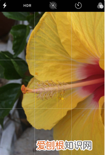 手机微距相机怎么使用