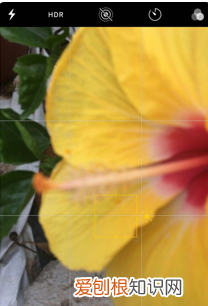 手机微距相机怎么使用