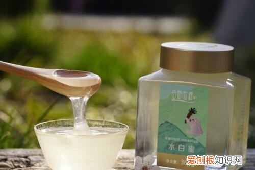 蜂蜜泡大蒜的做法,大蒜蜂蜜水的做法