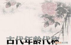 最小的年龄是豆蔻还是加冠，豆蔻年华及笄弱冠而立相关资料