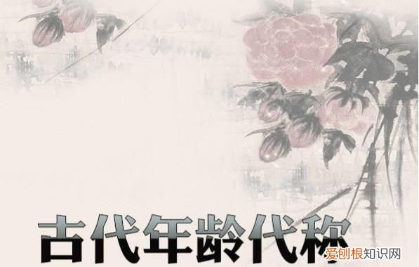 最小的年龄是豆蔻还是加冠,豆蔻年华及笄弱冠而立相关资料