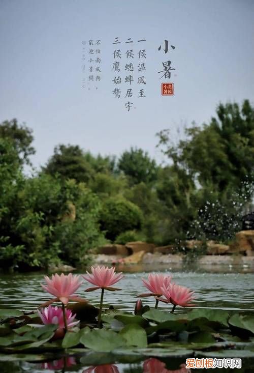 小暑三候是什么，倏忽温风至因循小暑来是什么意思