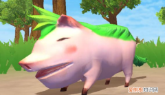 创造与魔法哪里猪多，《创造与魔法》青青猪的刷新概率是多少