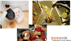 厨余垃圾经过处理可以变成什么