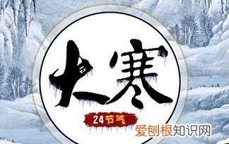 大寒是数九吗，冬雪雪冬雪大寒是什么意思