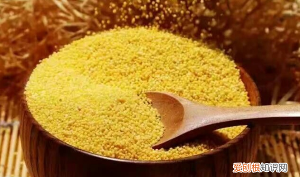 小米会过期，小米过保质期还能吃吗