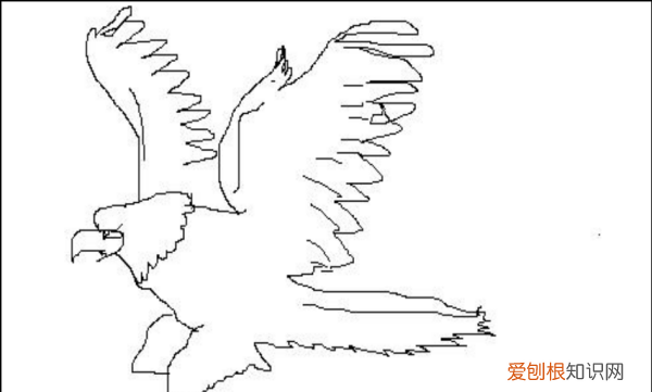 鹰怎么画，老鹰怎么画霸气