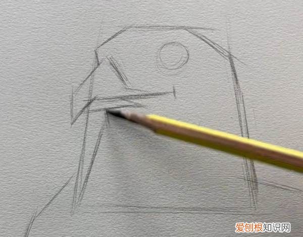 鹰怎么画，老鹰怎么画霸气